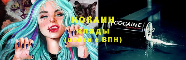 стафф Белокуриха