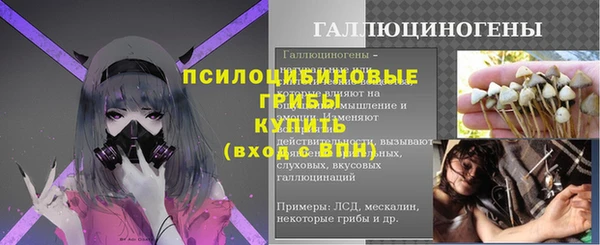 стафф Белокуриха
