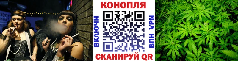купить   Светлый  Марихуана конопля 